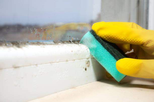 Best Office Mold Removal Services  in Gramercy, LA