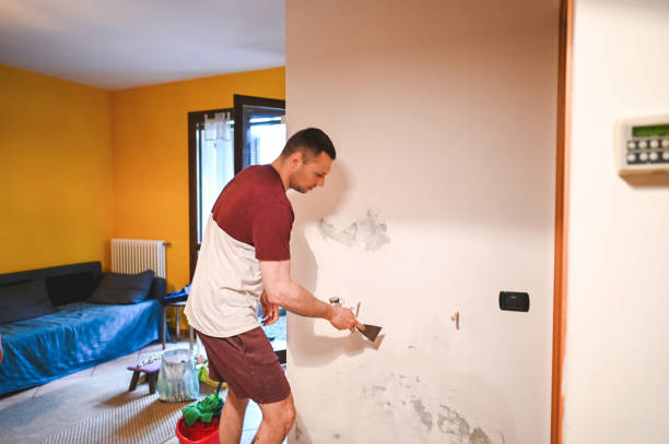Best Fast Mold Removal  in Gramercy, LA